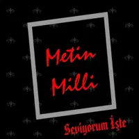 Seviyorum İşte — Metin Milli