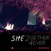 S.H.E 2gether 4ever 2013 演唱會 artwork