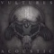 Vultures (Acoustic) - Normandie lyrics