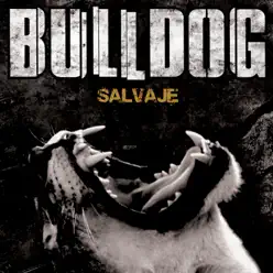 Salvaje - Bulldog