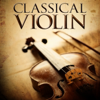 Concerto No. 8 in A Minor for Oboe and Orchestra, RV 461: II. Larghetto - Bozo Rogelja & Zagreb Soloists