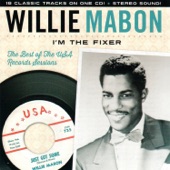 I'm the Fixer - The Best of the USA Records Sessions artwork