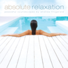 Absolute Relaxation - Andrew Fitzgerald