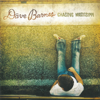 Chasing Mississippi - Dave Barnes