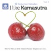 I Like Kamasutra, Vol. 2