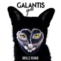 You   (Brillz Remix)
