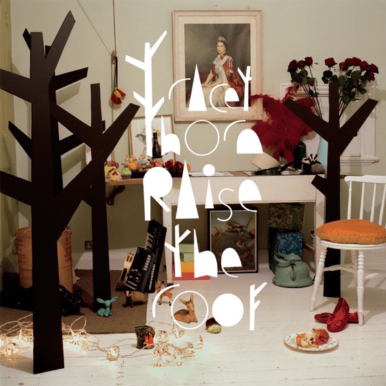Cover artwork for Raise the Roof (Cagedbaby Remix)