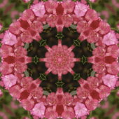 Tibetan Singing Bowls - Solar Plexus Chakra - Relaxation and Meditation