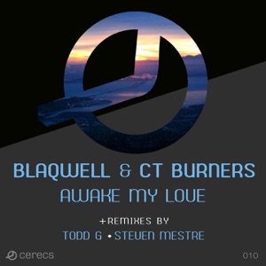 Awake My Love - Single