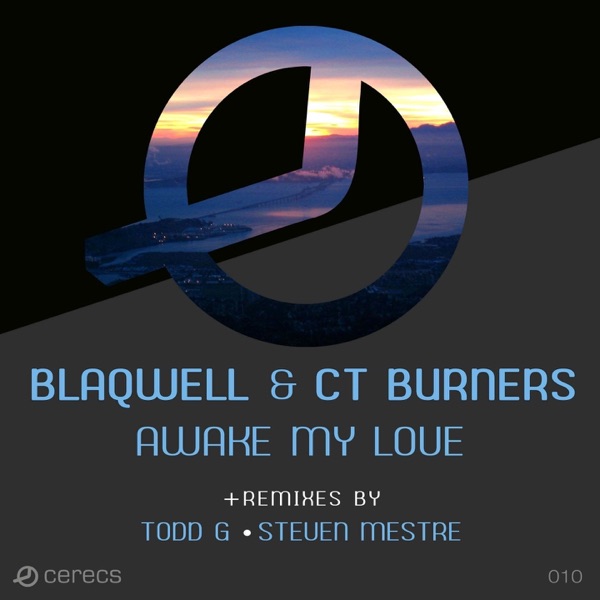 Awake My Love - Single