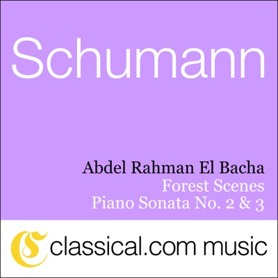 Robert Schumann, Piano Sonata No. 2 In G Minor, Op. 22