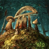 Friends on Mushrooms, Vol. 2 artwork