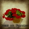 Voces del Flamenco Vol. 2 (feat. Spain)