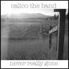 CALICO the band