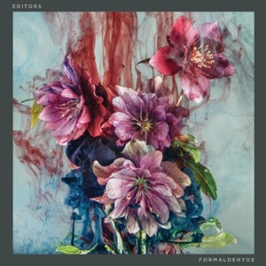 Formaldehyde Acoustic Album Art
