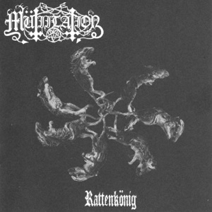 Rattenkönig