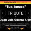 Tus besos (In the Style of Juan Luis Guerra 4.40) [Karaoke Version] - Brava HitMakers