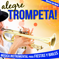 Pensamientos Mios / Solano de las Marismas / Hoy Tengo Ganas de Ti / Soy del Sur - Pepe El Trompeta Cover Art