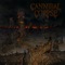 Sadistic Embodiment - Cannibal Corpse lyrics