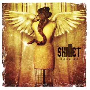 Skillet Under My Skin