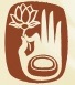 Seattle Insight Meditation Society