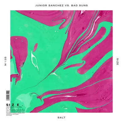 Salt (Junior Sanchez Vs. Bad Suns) - Single - Bad Suns