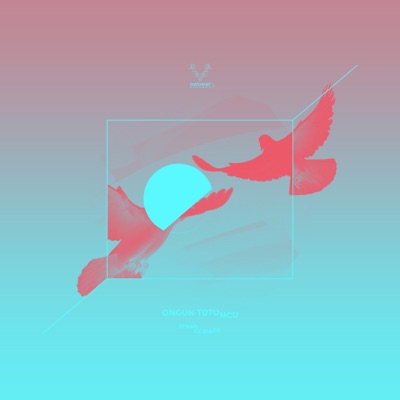 Strange Birds - Single