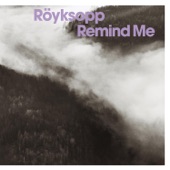 Remind Me (Someone Else's Radio Remix) artwork