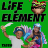 Life Element - The Skylander Boy and Girl