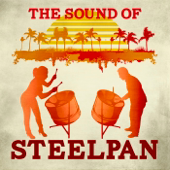 The Sound of Steelpan