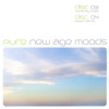 Pure: New Age Moods, 2006