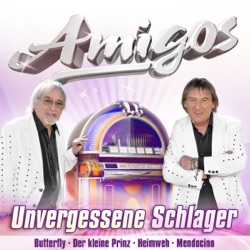 Amigos - Nur ein Bild von dir