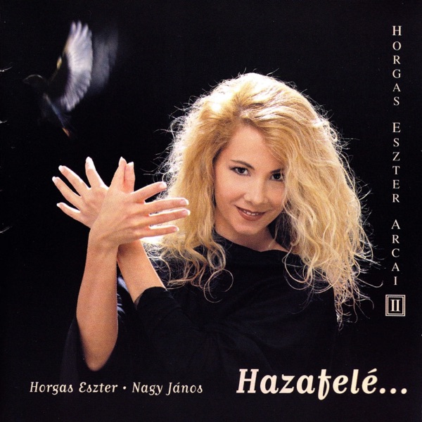 Arcai, Vol. 2: Hazafelé