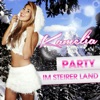 Party im Steirer Land - Single