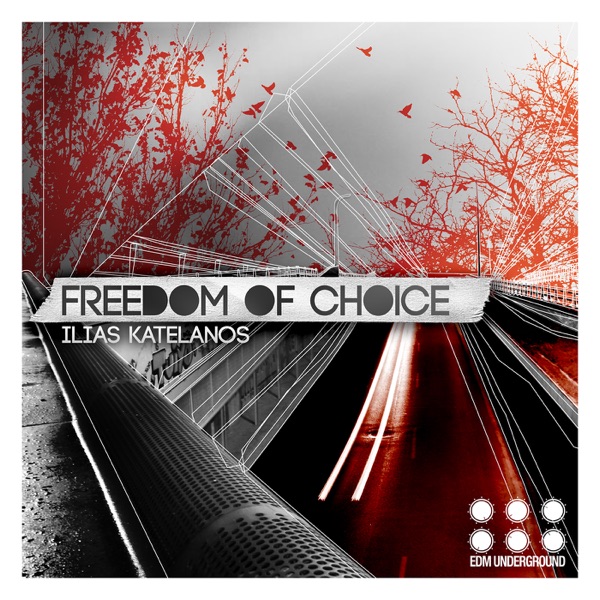 Freedom of Choice - Single