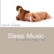 Sleep Music - Meditation Relax Club lyrics
