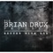I Know What You're Thinking - The Brian Drux Project lyrics