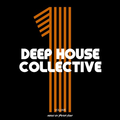 Deep House Collective Vol. 1 (Compiled and Mixed by Peter Funk)