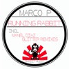 Running Rabbit - Single