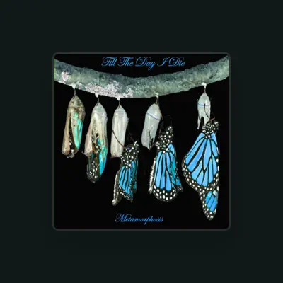 Listen to Till the Day I Die, watch music videos, read bio, see tour dates & more!