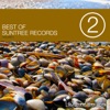 Best of Suntree Records Vol. 2, 2012