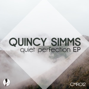 Quiet Perfection - Single