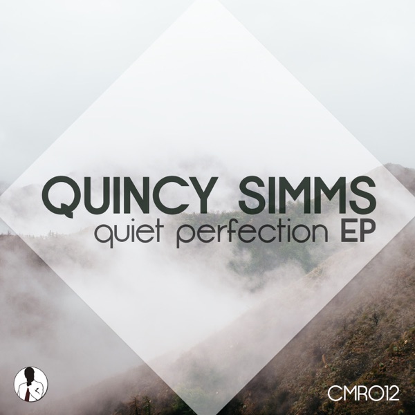 Quiet Perfection - Single