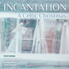 A Celtic Christmas (feat. Tony Hinnigin, Mike Taylor & Tony Maloney)