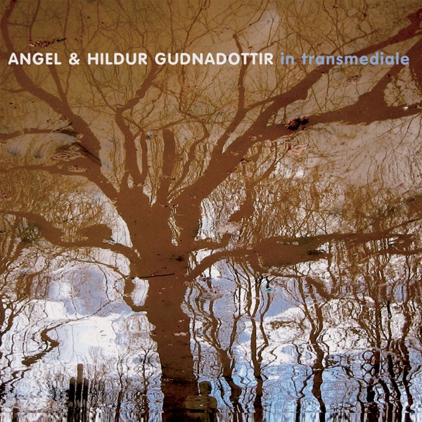 In Transmediale (feat. Hildur Gudnadottir, Dirk Dresselhaus & Ilpo Vaisanen) - Angel & Hildur Guðnadóttir