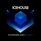 ICEHOUSE - Crazy