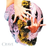 Dear Criminals - Stay Tonight