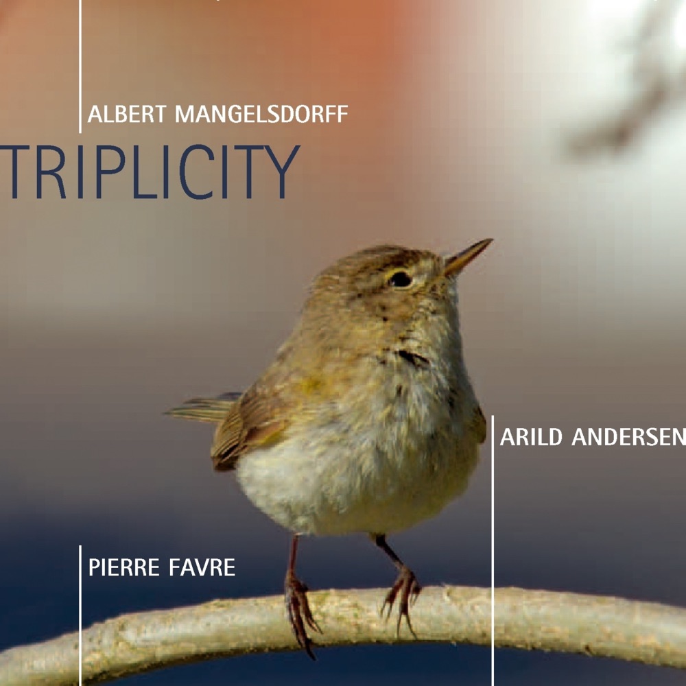 Обложка альбома «Triplicity (Live)» — Albert Mangelsdorff, Arild Andersen & Pierre Favre