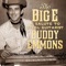 Blue Jade (feat. Dan Dugmore) - Duane Eddy lyrics