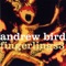Dark Matter - Andrew Bird lyrics